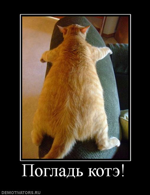 http://4put.ru/pictures/max/10/32559.jpg