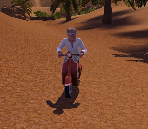 32877.jpg