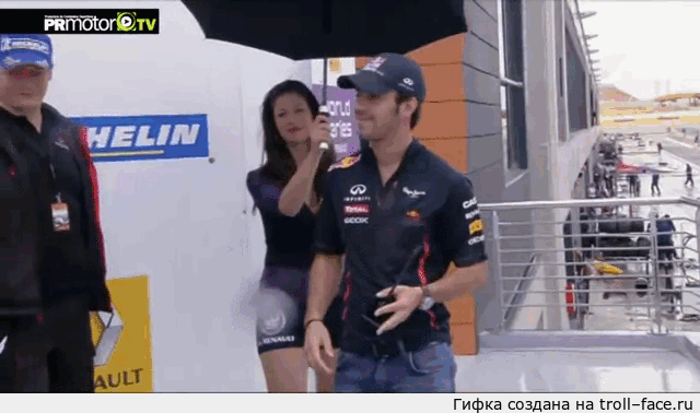 3082626.gif