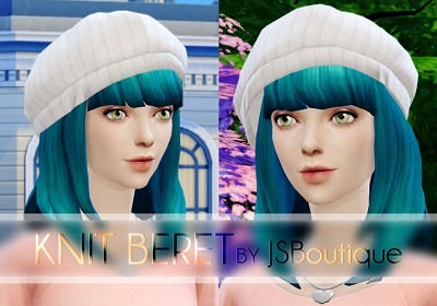 3093538.jpg