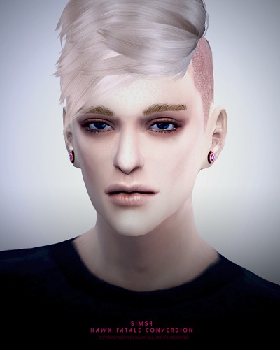 3095705.jpg
