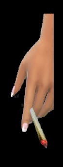 3108859.jpg