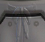 3116994.jpg