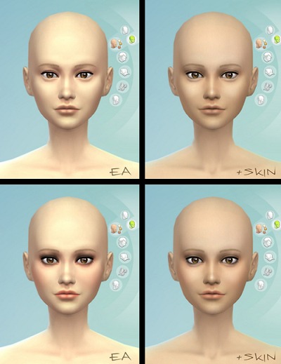 3131504.jpg