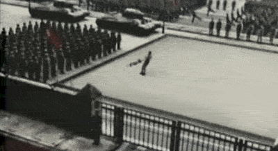 3137315.gif