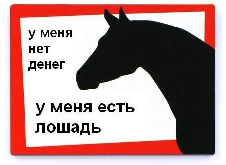 3141800.jpg
