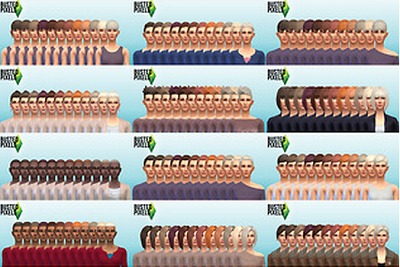 3152392.jpg