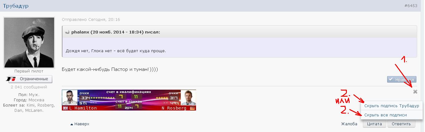 3155936.jpg