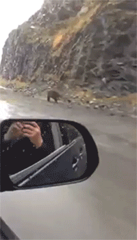 3162678.gif