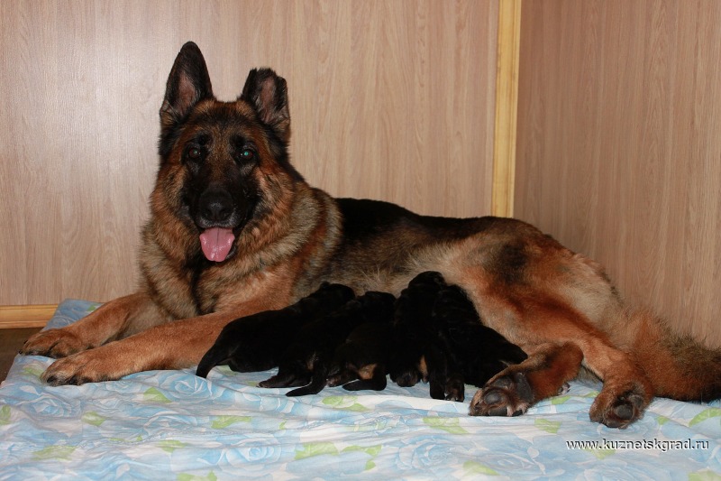 http://4put.ru/pictures/max/1031/3168304.jpg
