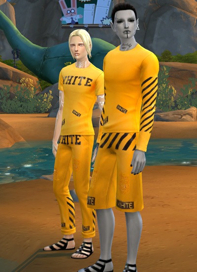 3179123.jpg