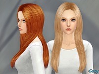3180403.jpg