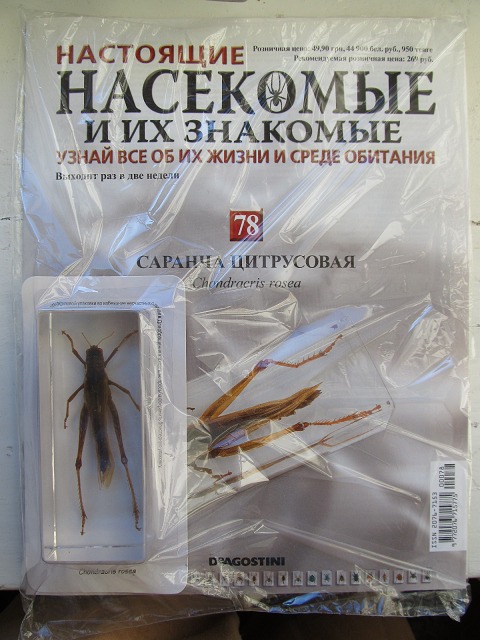Насекомые и их знакомые 2014 - График Выхода и обсуждение