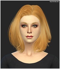 3192897.jpg