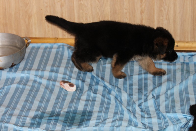 http://4put.ru/pictures/max/1048/3220302.jpg