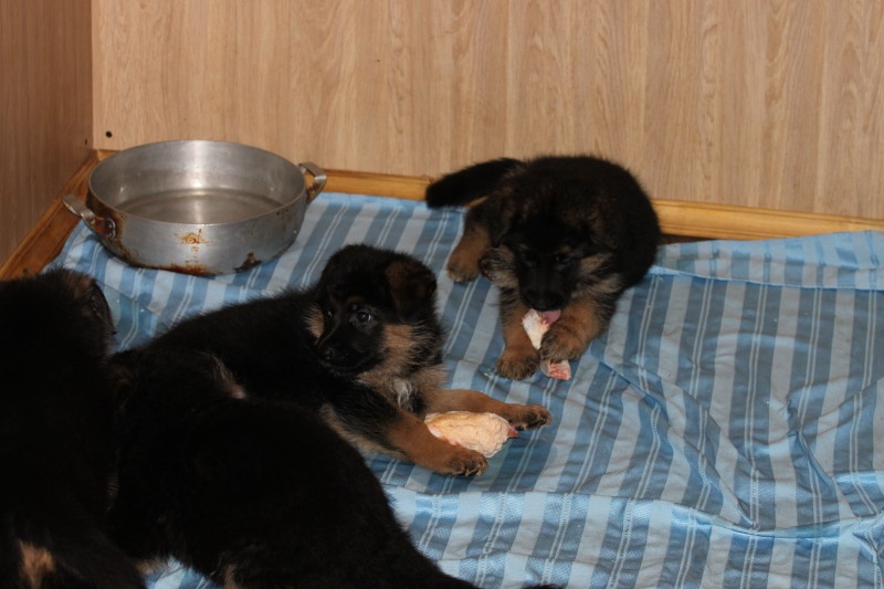 http://4put.ru/pictures/max/1048/3220305.jpg