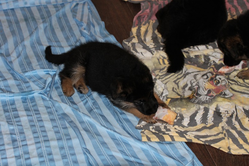 http://4put.ru/pictures/max/1048/3220306.jpg