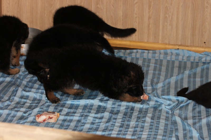 http://4put.ru/pictures/max/1048/3220329.jpg