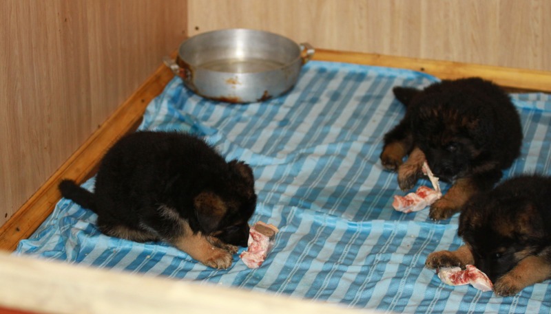 http://4put.ru/pictures/max/1048/3220330.jpg