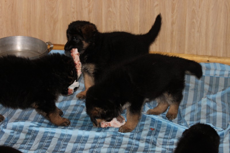 http://4put.ru/pictures/max/1048/3220345.jpg
