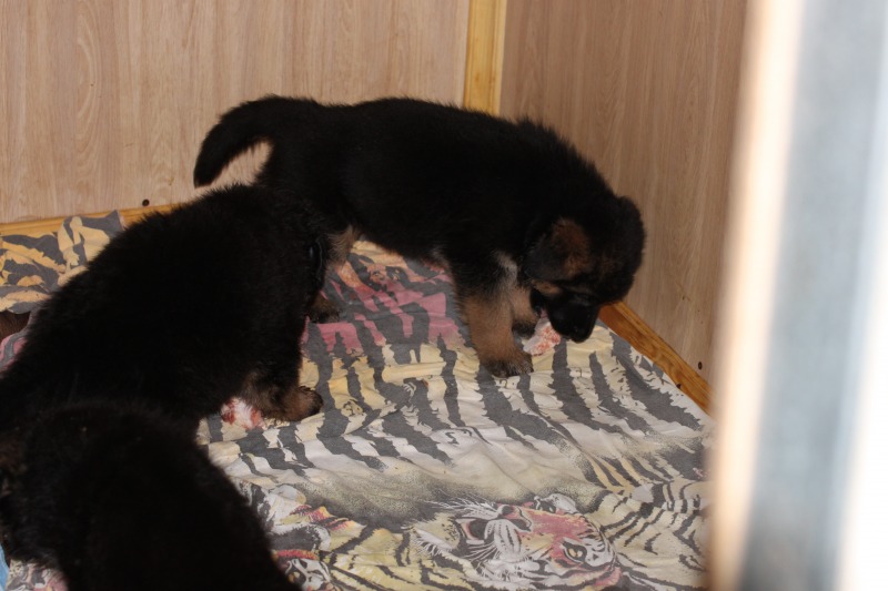 http://4put.ru/pictures/max/1048/3220346.jpg