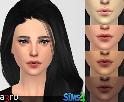 3222872.jpg