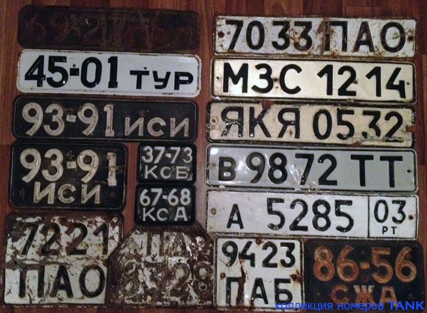 3239512.jpg