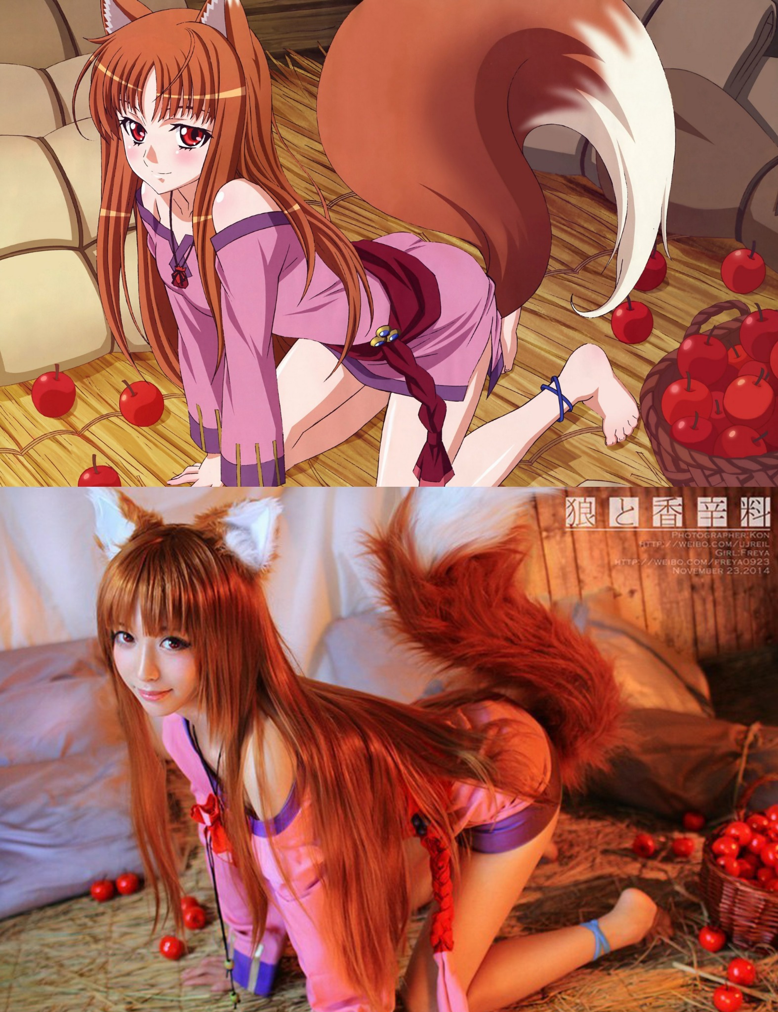 3240858.jpg