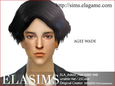 3251795.jpg