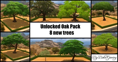 3254434.jpg