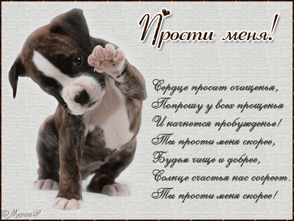 Покрытие ногтей гель лаком авито Покрытие ногтей гель лаком авито