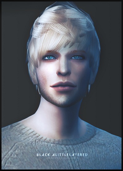 3257633.jpg