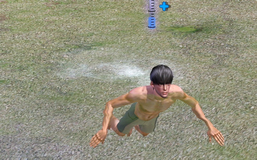 3259048.jpg