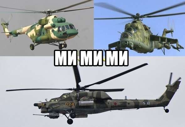 3264227.jpg