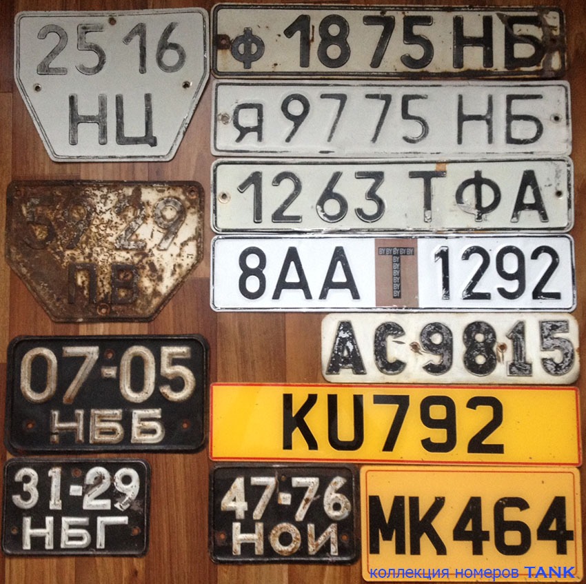 3265807.jpg