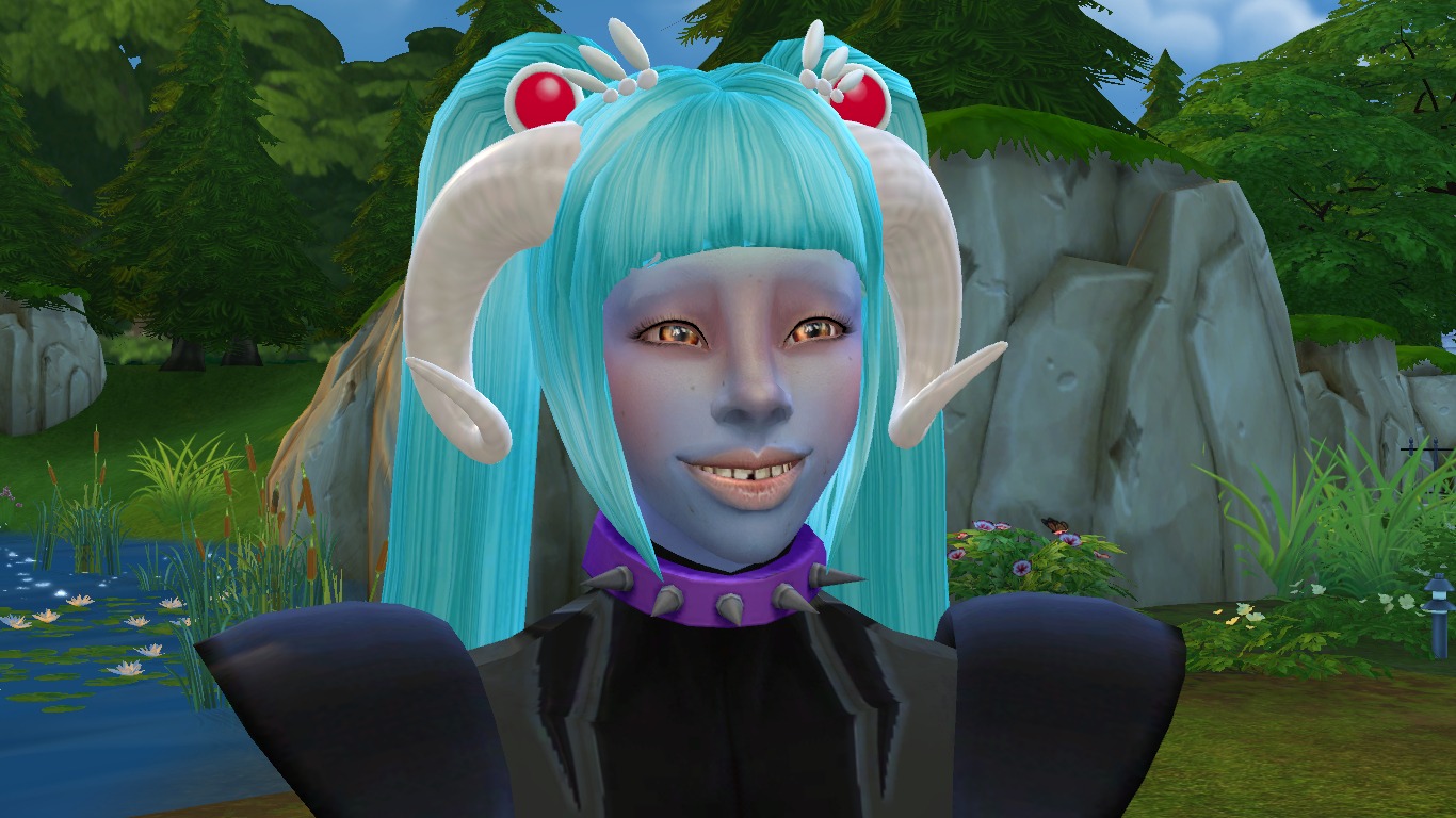 3269338.jpg