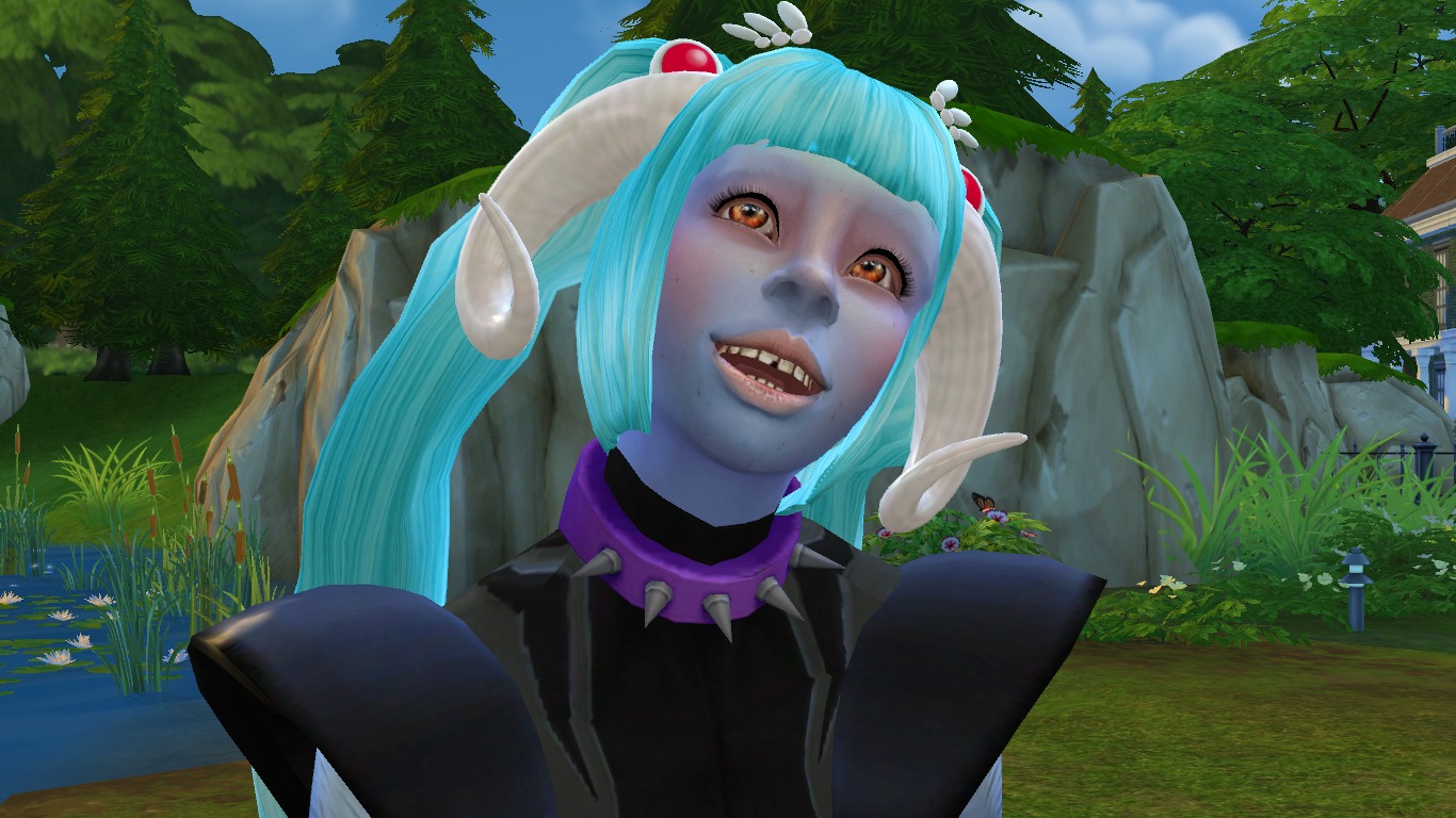 3269353.jpg