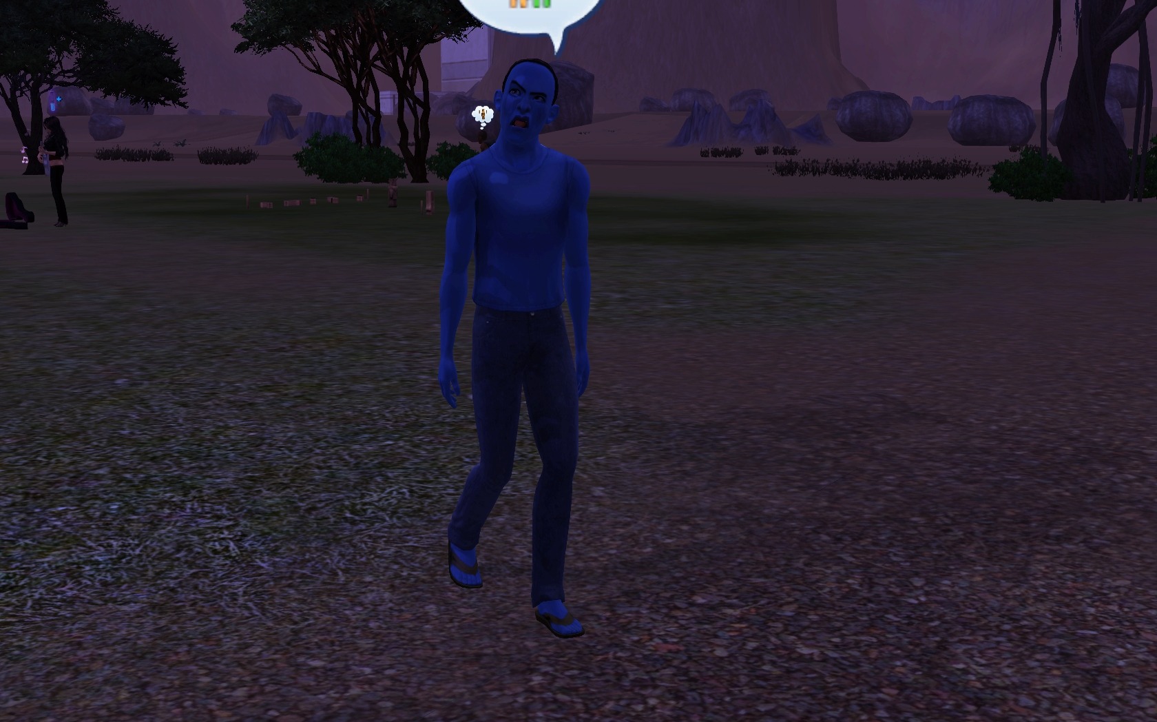329040.jpg