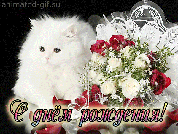 Дамы эпохи - Наши дни рождения