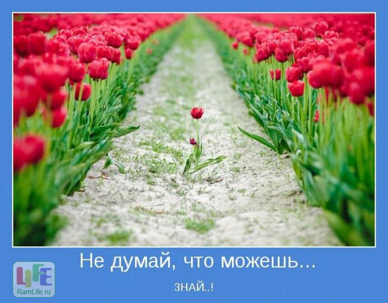 http://4put.ru/pictures/max/1074/3302378.jpg