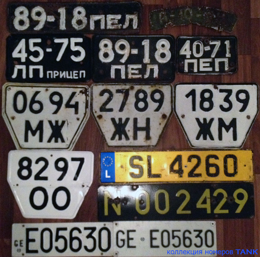 3305961.jpg