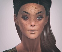 3330819.jpg