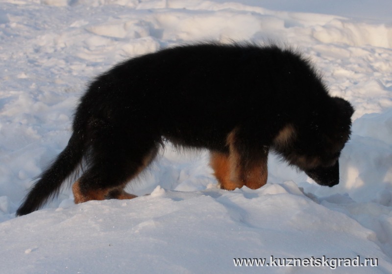 http://4put.ru/pictures/max/1087/3339539.jpg