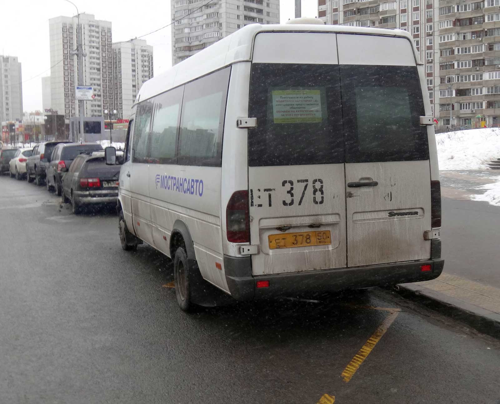 3351164.jpg