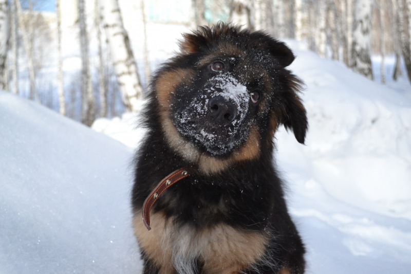 http://4put.ru/pictures/max/1093/3357874.jpg