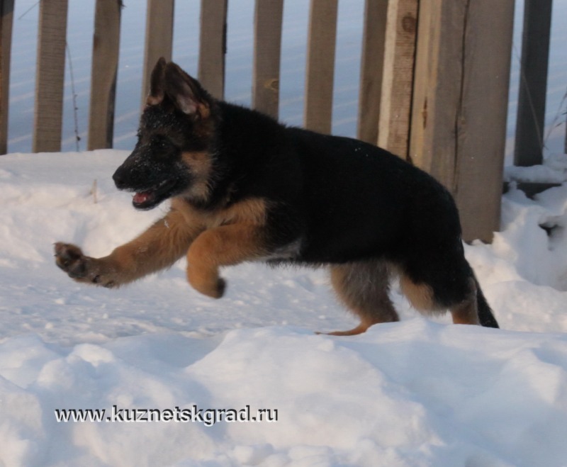 http://4put.ru/pictures/max/1094/3361780.jpg