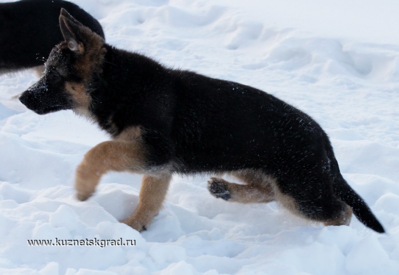 http://4put.ru/pictures/max/1094/3361781.jpg