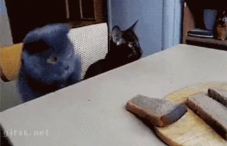 http://4put.ru/pictures/max/1094/3361913.gif