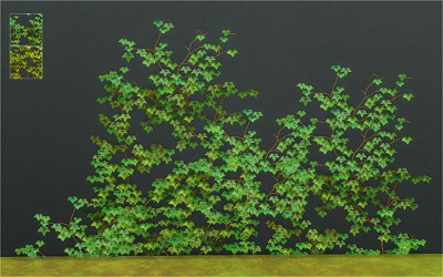 3380004.jpg