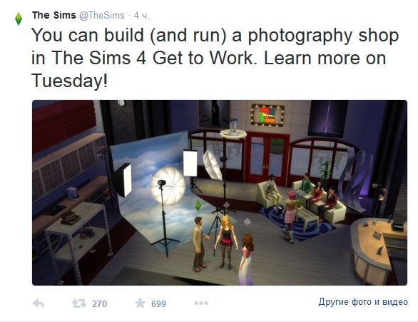 3383942.jpg